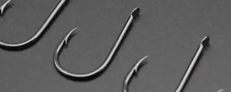 2号伊豆钩钓不超1斤鱼种要点(用2号伊豆钩钓1斤内鱼种需注意哪些关键要点)-会东网