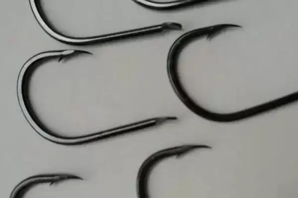 5号伊势尼钩可以钓多重的鱼(5号伊势尼钩在正常垂钓时能钓多重的鱼呢)插图4 5号伊势尼钩可以钓多重的鱼(5号伊势尼钩在正常垂钓时能钓多重的鱼呢)插图4