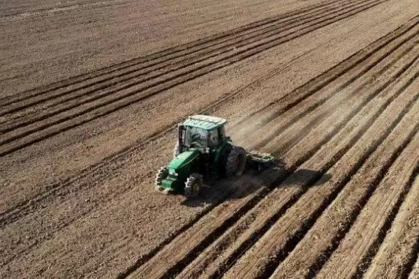 白芍选种方法(白芍选种有哪些科学有效的方法及其对生长的影响)插图2 白芍选种方法(白芍选种有哪些科学有效的方法及其对生长的影响)插图2