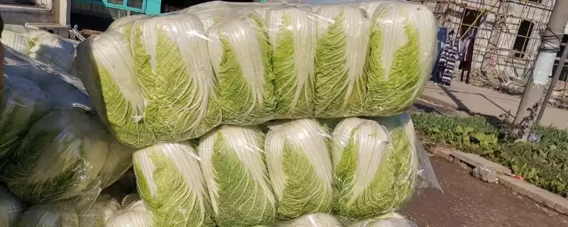 白菜价格地区差异(白菜价格地区差异及其在市场供需和运输上的原因)-会东网