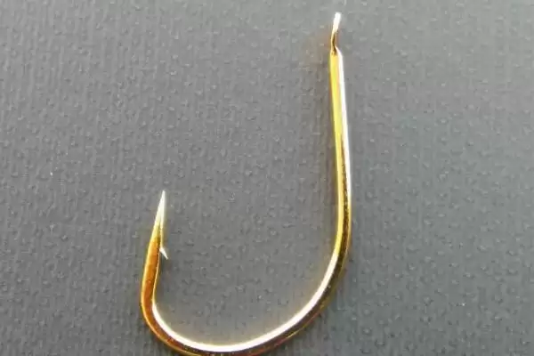 2号子线配5-6号伊势尼钩为佳的原因(2号子线配5-6号伊势尼钩为佳的原因有哪些)插图1