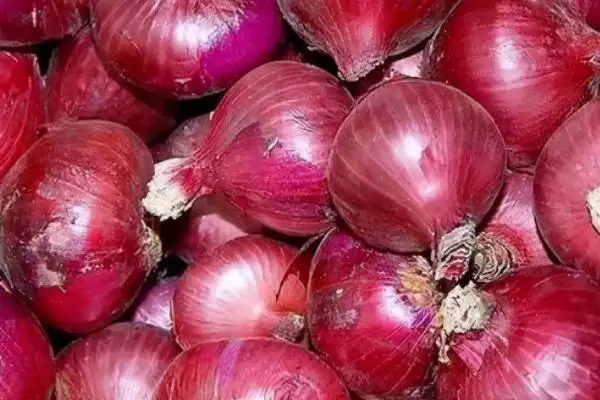 白洋葱与紫洋葱区别(白洋葱与紫洋葱在外观、口感、营养等方面有何区别)插图4