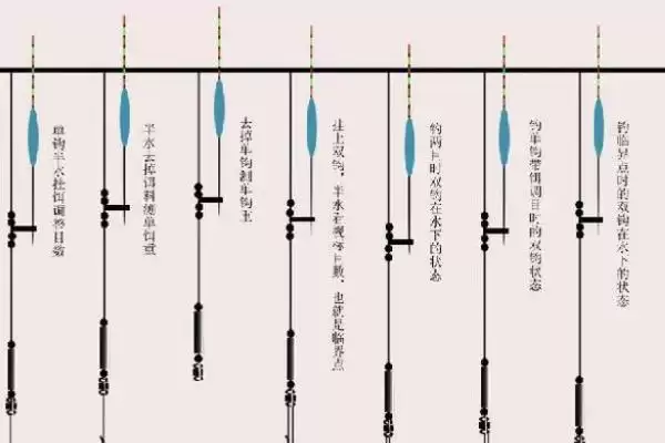 钓鲢鱼如何调漂(钓鲢鱼该怎么调漂呢)插图1