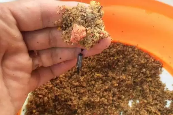 钓鱼何为散炮(钓鱼中的散炮是什么东西呢)插图3