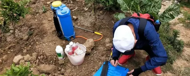 草铵膦可以与哪些药剂混用(草铵膦能和哪些药剂混合使用呢)-会东网