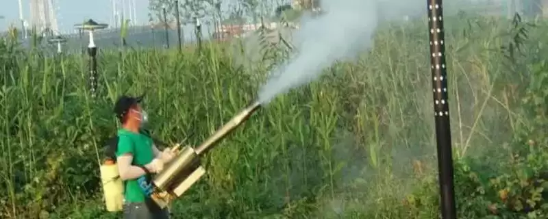 打芦苇用什么药(打芦苇适宜使用哪种药物呢)-会东网