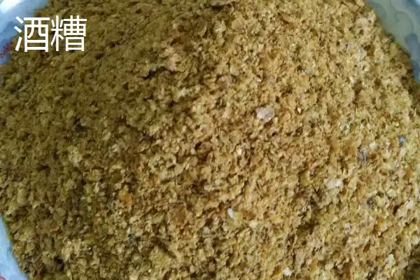 春季钓鱼用什么打窝(春季钓鱼用什么做窝料比较好呢)插图4