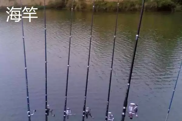 钓青鱼用什么鱼竿(钓青鱼适合用什么鱼竿呢)插图1 钓青鱼用什么鱼竿(钓青鱼适合用什么鱼竿呢)插图1