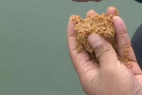 钓鱼何为散炮(钓鱼中的散炮是什么东西呢)插图2