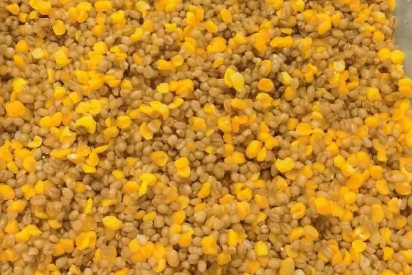 春季钓鱼用什么打窝(春季钓鱼用什么做窝料比较好呢)插图8