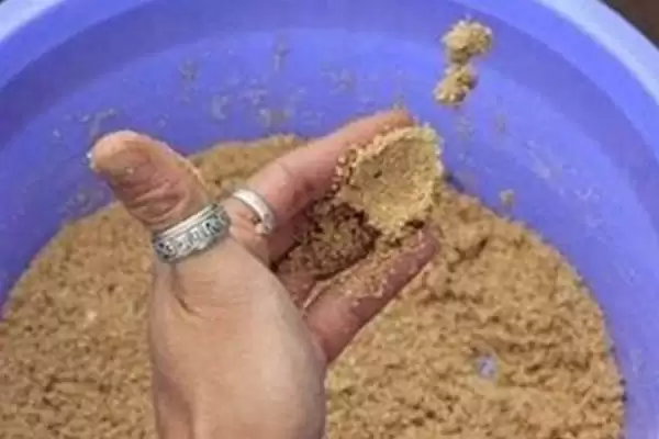 钓鱼何为散炮(钓鱼中的散炮是什么东西呢)插图4