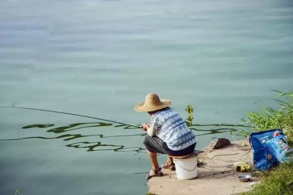 钓鱼何为散炮(钓鱼中的散炮是什么东西呢)插图1