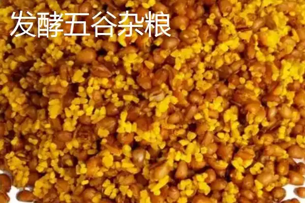 春季钓鱼用什么打窝(春季钓鱼用什么做窝料比较好呢)插图2