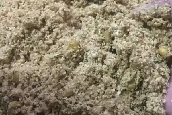 春季钓鱼用什么打窝(春季钓鱼用什么做窝料比较好呢)插图10