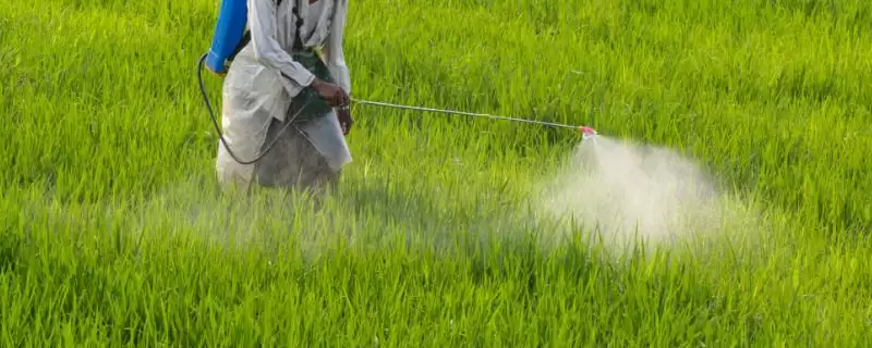 甲维高氯氟的杀虫原理 ，甲维高氯氟阻碍害虫神经传递咋实现？-会东网