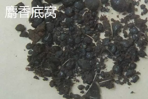 老三样打窝方法揭秘，“钓鱼不打窝，钓得也不多”解读插图5