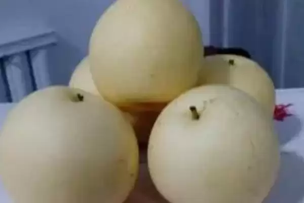 湖北农村种什么比较赚钱 ，秋葵种植收益为啥可观插图8