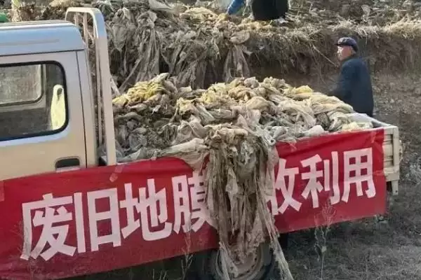 聚焦农业绿色发展行动，五大关键行动全面解读插图9