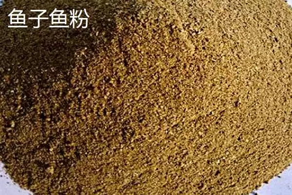 河北海兴县的特产 ，鱼子鱼粉等特产有啥特色插图1