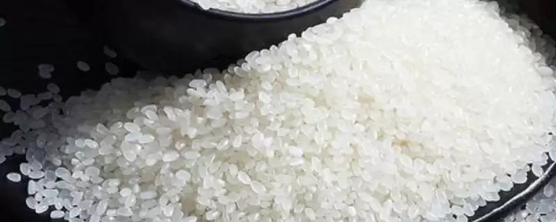 黑龙江省庆安县的特产 ,大米酒为啥能远销多地-会东网