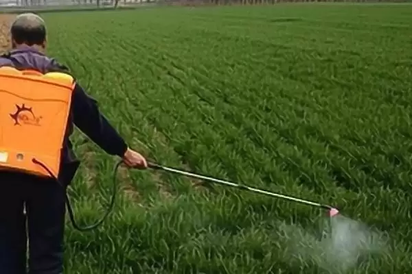 甲维高氯氟的杀虫原理 ，甲维高氯氟阻碍害虫神经传递咋实现？插图1