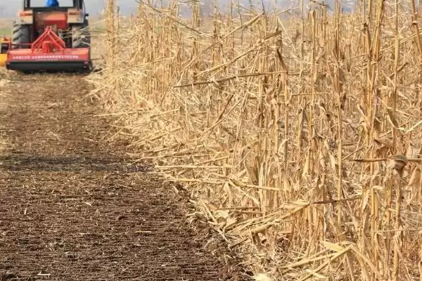 秸秆还田机械作业要点 ，秸秆还田采用棱型和套耕路线有啥好处？插图2