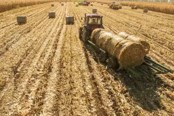 秸秆还田机械作业要点 ，秸秆还田采用棱型和套耕路线有啥好处？插图1