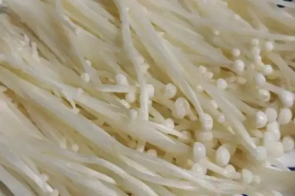 农村食用菌种植效益揭秘，香菇等品种成热门选择插图4