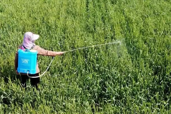 甲维高氯氟的杀虫原理 ，甲维高氯氟阻碍害虫神经传递咋实现？插图2