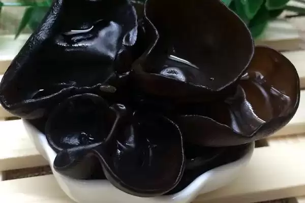 农村食用菌种植效益揭秘，香菇等品种成热门选择插图2