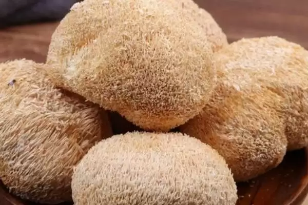 农村食用菌种植效益揭秘，香菇等品种成热门选择插图5