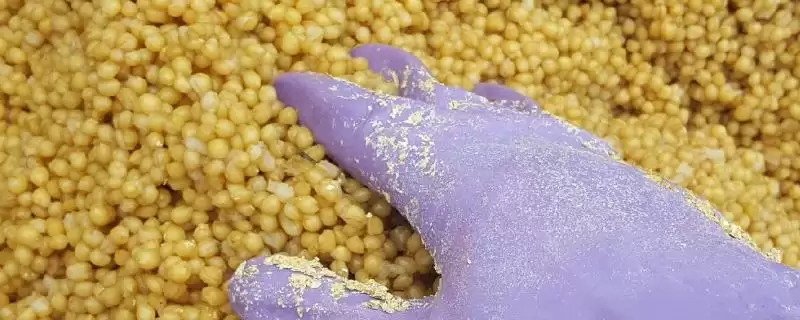 鲤鱼窝料配方大揭秘，麦麸、玉米渣等常用材料解读-会东网