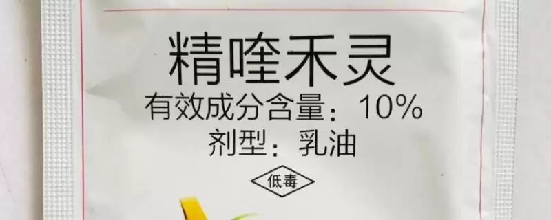 精喹禾灵对下茬作物影响揭秘，基本无影响要点解读-会东网