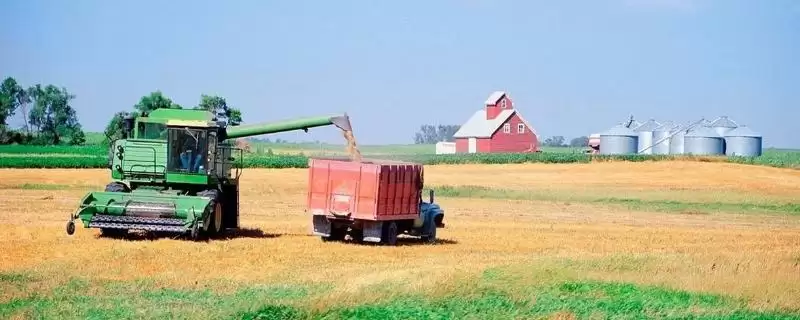 美国农业生产特点揭秘，地区与生产专门化全解析-会东网