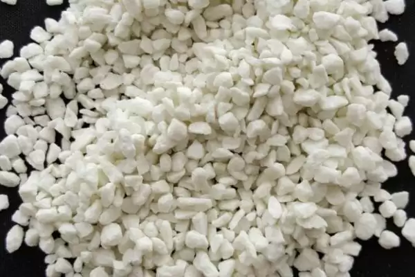 镁肥对植物作用揭秘，助力作物增产效果显著插图1