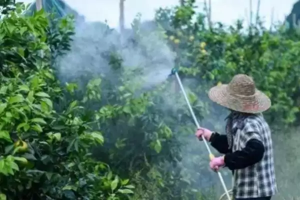 联肼乙螨唑作用揭秘，防治螨虫功能要点全面解读插图2