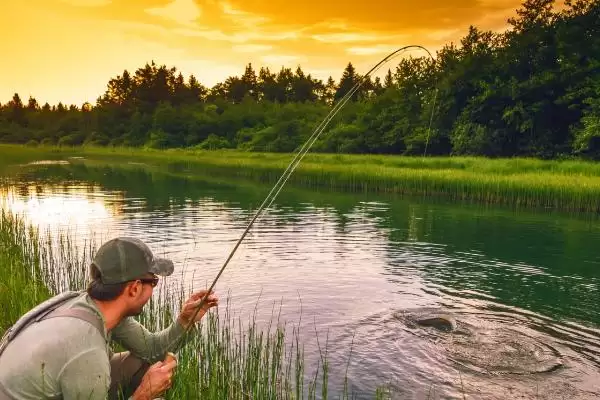 前打竿口碑品牌揭秘,一击等品牌受钓鱼者青睐插图12 前打竿口碑品牌揭秘,一击等品牌受钓鱼者青睐插图12