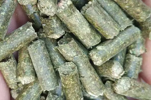 鲤鱼窝料配方大揭秘，麦麸、玉米渣等常用材料解读插图6