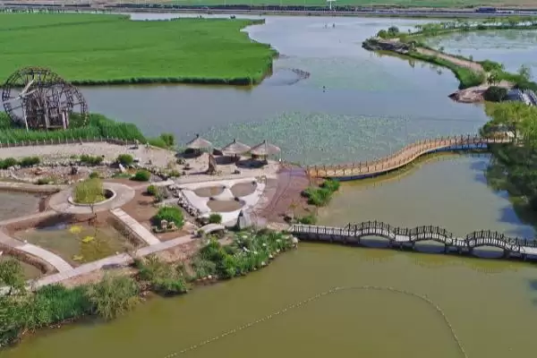 围湖造田有什么危害？严重破坏生态平衡解析插图1