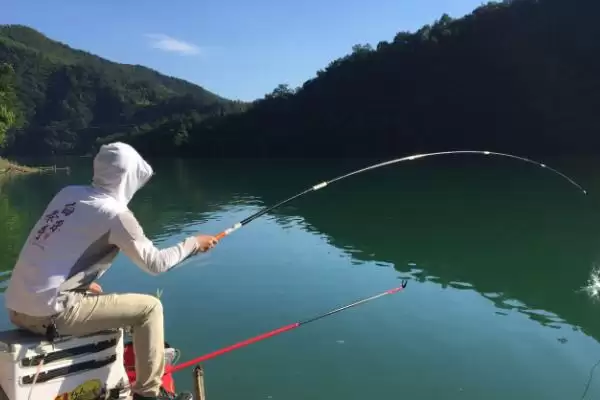 青鱼的钓法，4-6月和8-11月最佳垂钓时间解析插图3