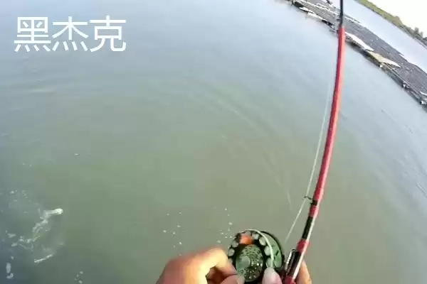 前打竿口碑品牌揭秘,一击等品牌受钓鱼者青睐插图7 前打竿口碑品牌揭秘,一击等品牌受钓鱼者青睐插图7