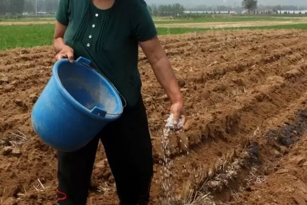尿素使用禁忌曝光,10点注意事项需牢记插图1 尿素使用禁忌曝光,10点注意事项需牢记插图1