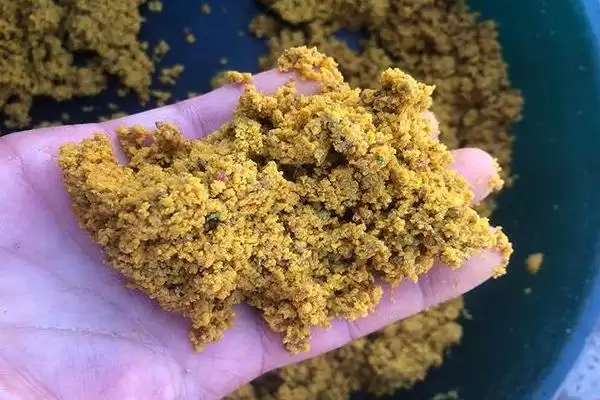 青鱼的钓法，4-6月和8-11月最佳垂钓时间解析插图8