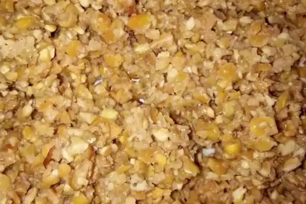 罗非竿揭秘，专为钓罗非鱼设计钓竿特性受瞩目插图3