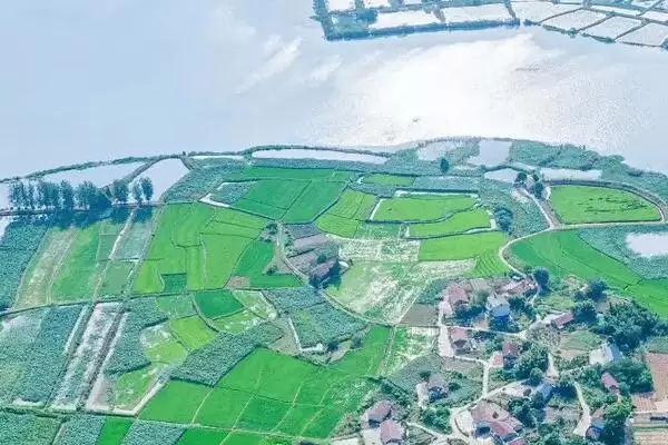 围湖造田有什么危害？严重破坏生态平衡解析插图2