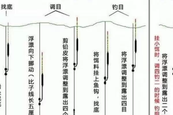 晚上能不能垂钓罗非鱼？准备钓具可进行垂钓插图4