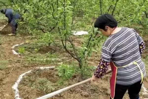 尿素使用禁忌曝光,10点注意事项需牢记插图4 尿素使用禁忌曝光,10点注意事项需牢记插图4