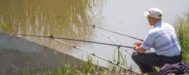 开春后钓鱼时间揭秘,温度、气压等指标影响分析-会东网