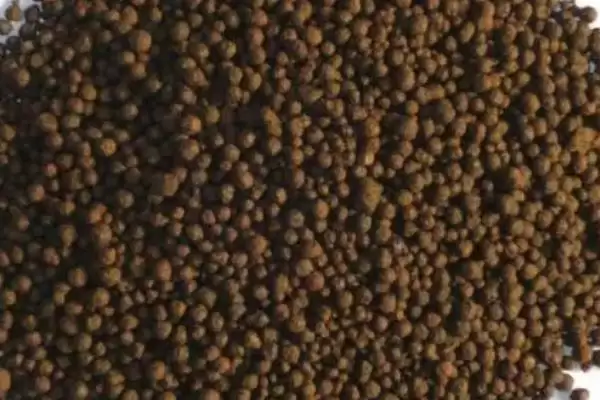 农业酵素菌肥制作有招,红糖果蔬叶兑水装瓶即制成插图1 农业酵素菌肥制作有招,红糖果蔬叶兑水装瓶即制成插图1