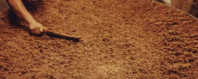 酒糟喂羊好处揭秘,增进食欲等功效要点解读-会东网